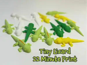 Tiny Lizard (with or without AMS)