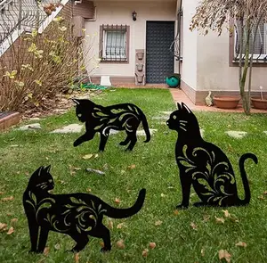 Cat / cats