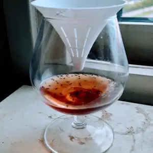 Fruit Fly Trap