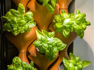 Vertical Hydroponics System (VHS)