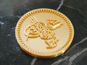 Ottoman Coin