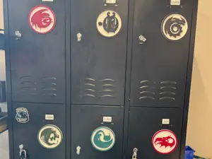 How to Train Your Dragon Class Symbol Magnets