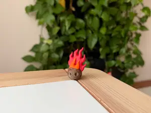Meteor