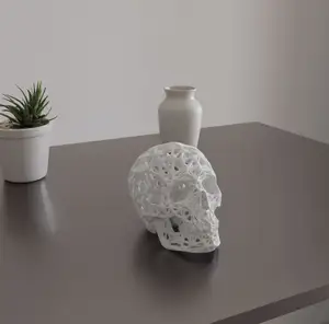 Human skull voronoi