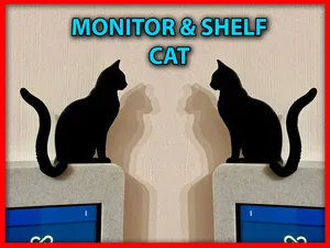 Monitor Cat