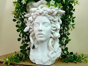 Elegant Medusa Planter