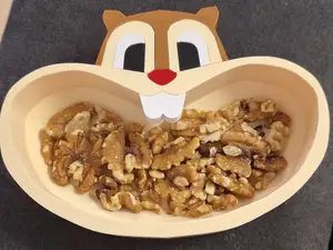 Eichhörnchen-Schale – Für Snacks & Süßigkeiten