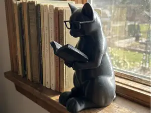 The Intellectual Cat: A Book Lover’s Companion