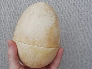 Dinosaur egg