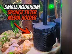 Small Aquarium Sponge Filter Media Holder