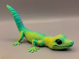 Neugieriger Gecko