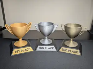 Customizable Trophy