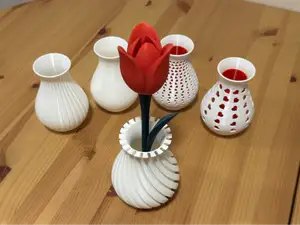 Tulip flower with stem, stand & vases