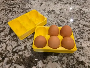 Boiled Egg Case