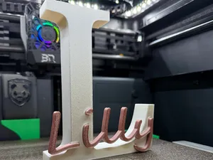Lilly – Individuelles 3D-Namensschild