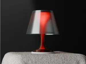 Modern Lamp. Unique Dual Layer Lit Stem Lamp