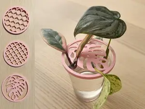 Plant Propagation Cutting Lid Holder Topper