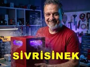 sivirisinek katili