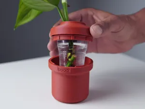 Propagation Vase | PV01