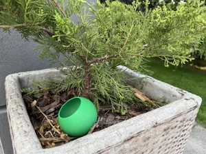Self Watering Globes for Plants