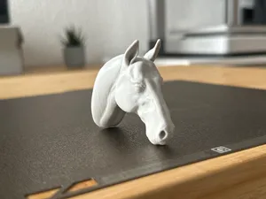 Horse Head