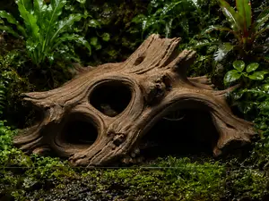 Driftwood Cave Hide - Terrarium & Aquarium Decor