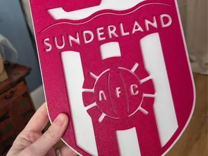 Old SAFC Sunderland Badge - No AMS Needed