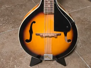 Mandolin Stand
