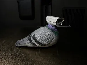 CCTV Camera Pigeon Meme (sitting)