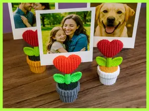 Knitted Heart Plant Photo Holder (No AMS)