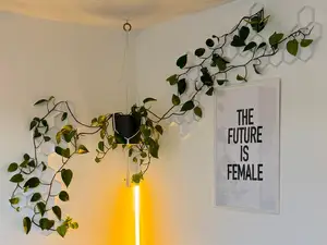 Modular Trellis & Wall-Mount System