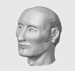 A head