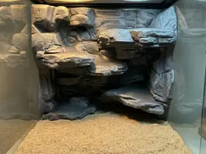 Aquarium Terrarium Rock Cliff Stone 3D Background