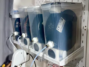 Secadora de Filamentos com Alimentação Direta
