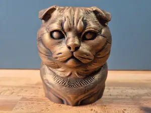 Scottish Fold Cat Model