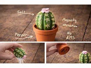 Kaktus Salt n Pepper (magnetic )