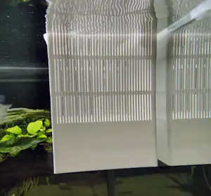 Floating breeding box for fish tank /aquarium
