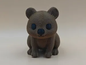 Koko the Smiling Quokka