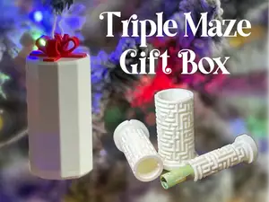 Nesting Puzzle Triple Maze Ornament Gift Box