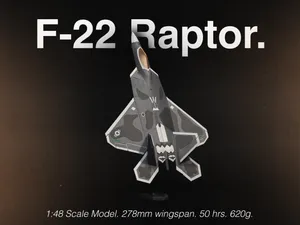 F-22 Raptor 1:48 Scale Model