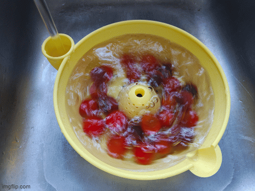 Berry/Fruit Washer V3 Family Size Water Powered