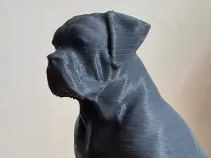 CANE CORSO – MODÈLE 3D RÉALISTE ET DÉTAILLÉ