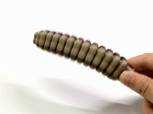 A rattling Rattle tail of the Rattlesnake