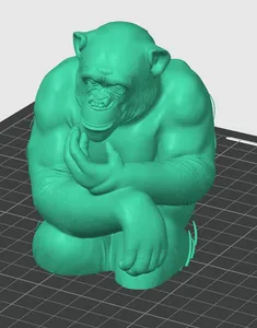 realistic-chimpanzee