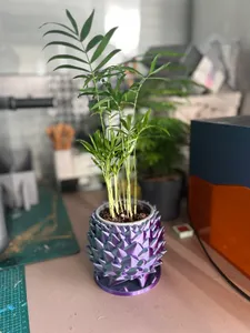 Dragon Egg / Pine Cone Pot