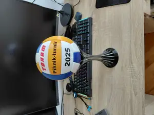 Volleyball Trophy