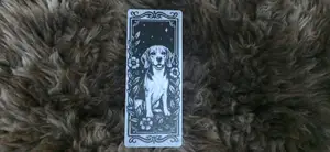 Beagle Dog Floral Night Sky Bookmark