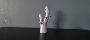 Hand organizer