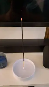 Incense or mosquito coil holder with water