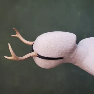 Bramble | Medium Two Tined Deer Antlers